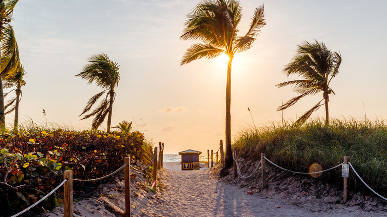 Sandy path leading to a beach