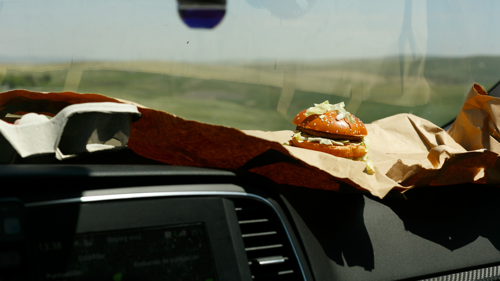 The Dirtiest Fast-Food Chains In America You Should Avoid While Traveling