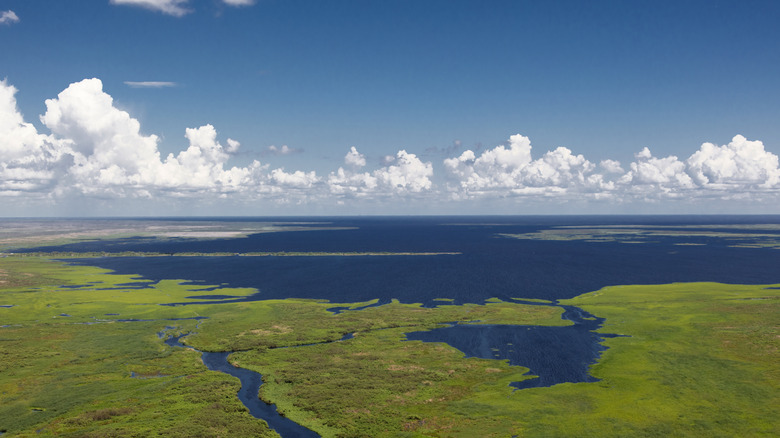 Gorgeous Lake Okeechobee from above