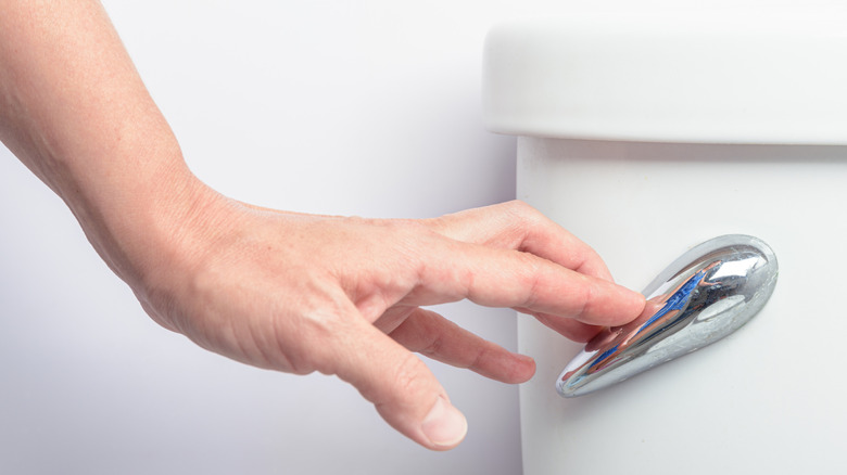 Hand flushing toilet