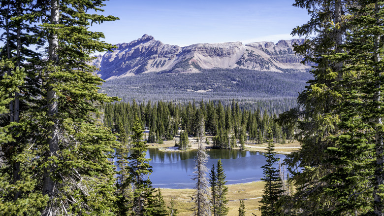 view of Mirror Lake through the trees with mountains in background
