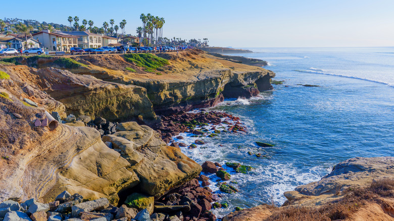 Rocky coastline with houses and palm trees in San Diego