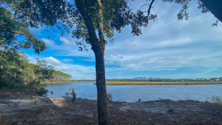 Marshland and lake in Tate's Hell State Forest in Florida