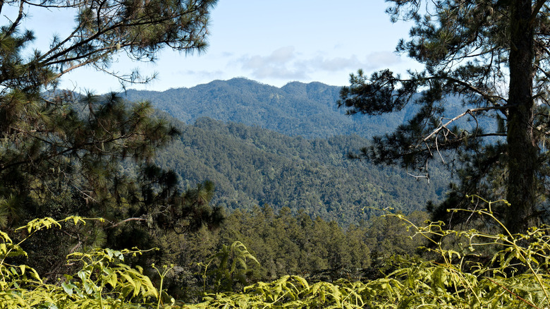 View of Pico Duarte in the Dominican Republic