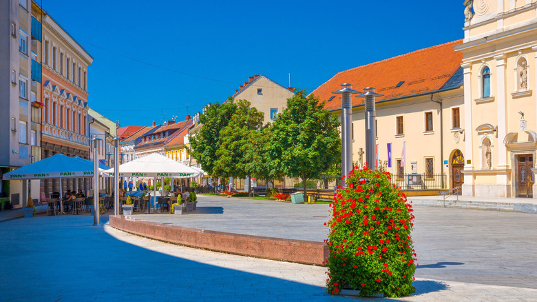 A view of a street in Čakovec, Croatia