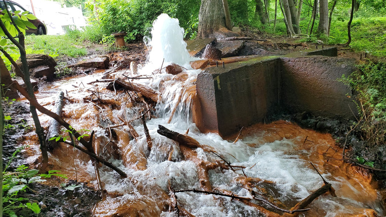 Small geyser flowing down orange-stained ground next to cement walls, surrounded by trees with the front of a car in the background