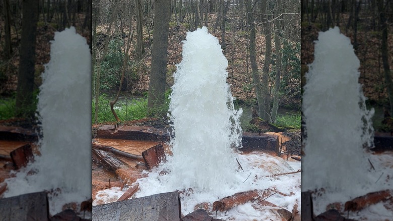 Big Mine Run Geyser surrounded by wood scraps and orange ground, with trees, a creek, and a hill in the background