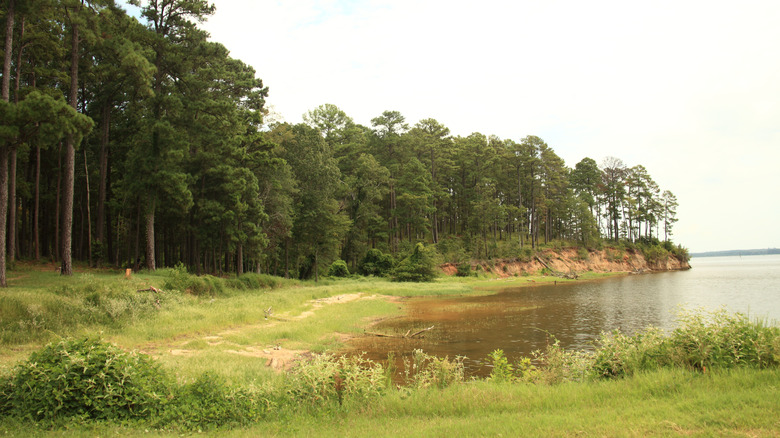 Sabine National Forest, Texas