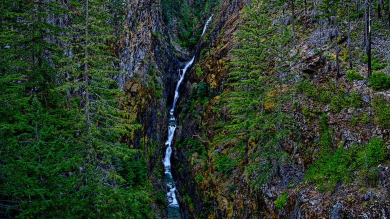 Waterfall in rocky gorge surrounded by pine trees