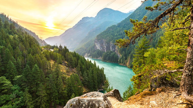 Turquoise lake surrounded by trees and mountains