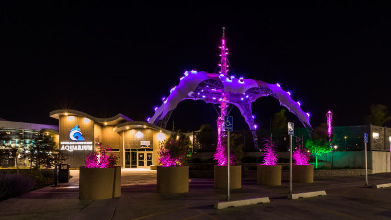 Loveland Living Planet Aquarium lights up night