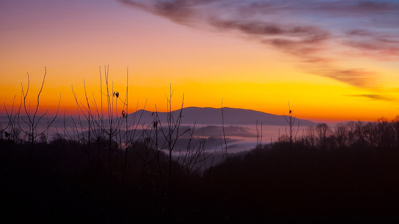 Fog around Mount Rogers in Virginia