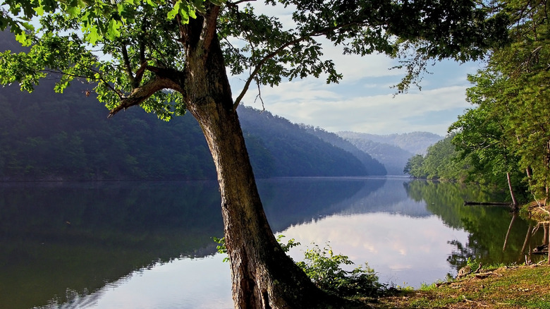 View of lake and trees at Hungry Mother State Park in Marion, Virginia