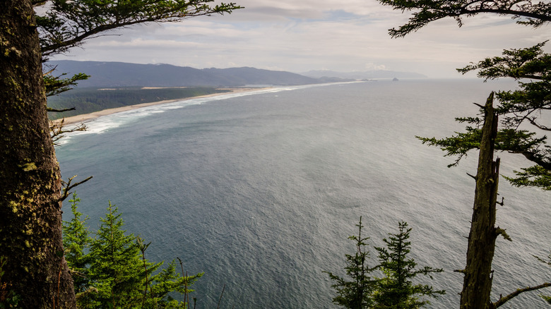 A view from Cape Lookout Trail in Oregon