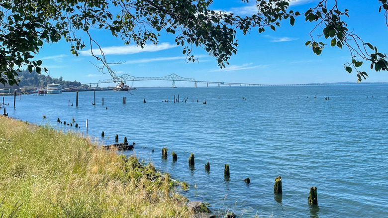 Coastal view from Astoria Riverwalk Trail