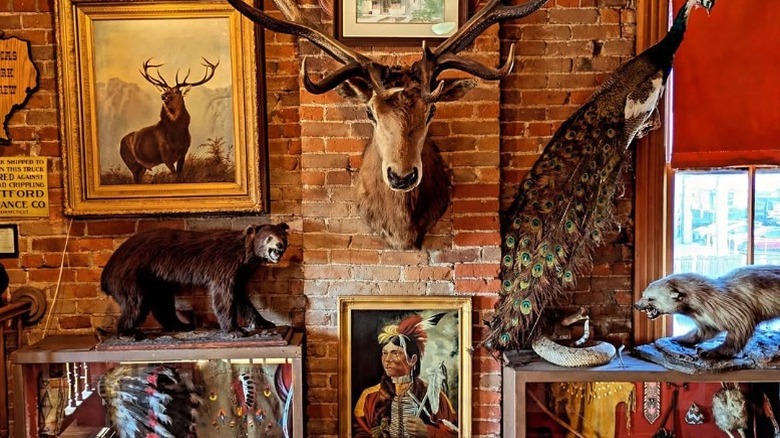 Taxidermied animals and Old West memorabilia frame the walls of Buckhorn Exchange in Denver, Colorado.