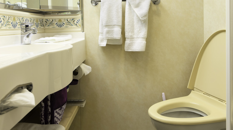 A cruise ship bathroom