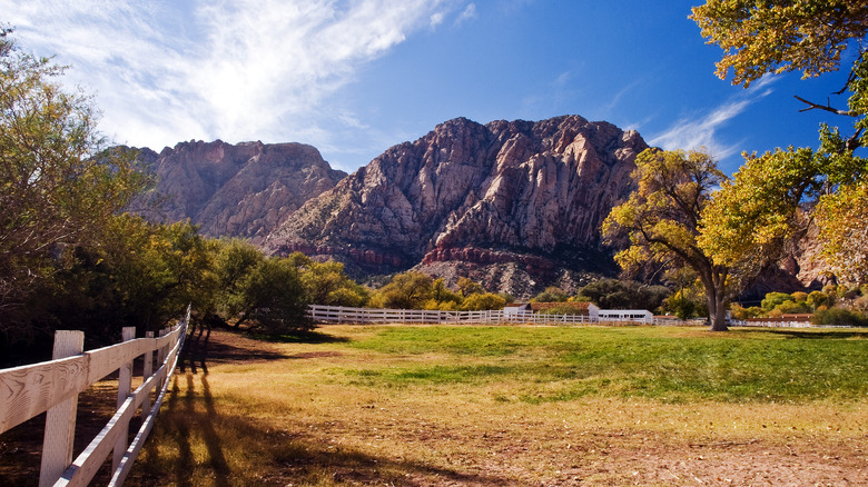 A scenic shot of mountains, fields, and trees at Spring Mountain Ranch in Nevada