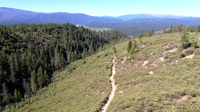 Bike trail in the Sierra Nevada mountains
