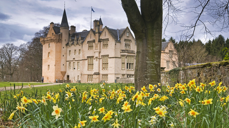 Brodie Castle with daffodils in bloom