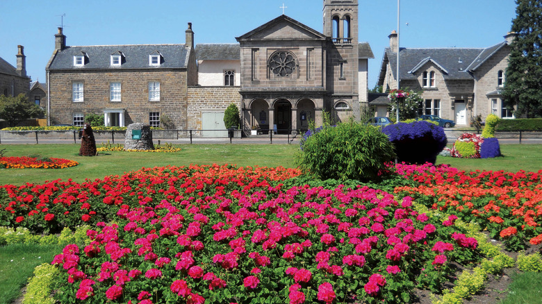 Floral display in Forres town center
