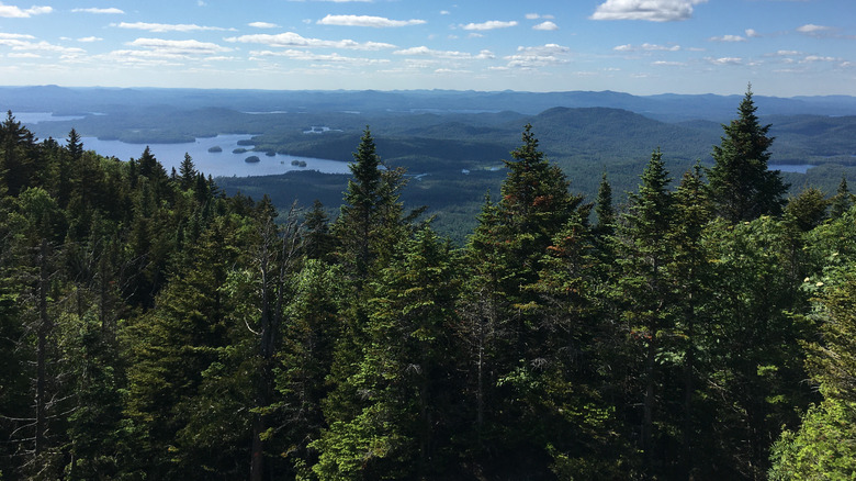 The Adirondack Mountains in summer