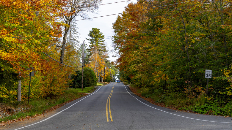 Scenic autumn view of a road in Potsdam, New York