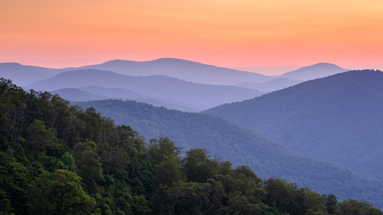 Many inn visitors explore the beautiful nearby Shenandoah National Park