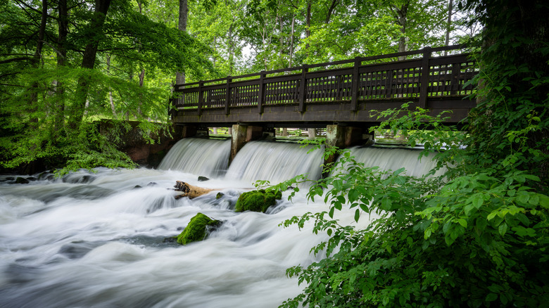 Maramec Springs in St. James, MO