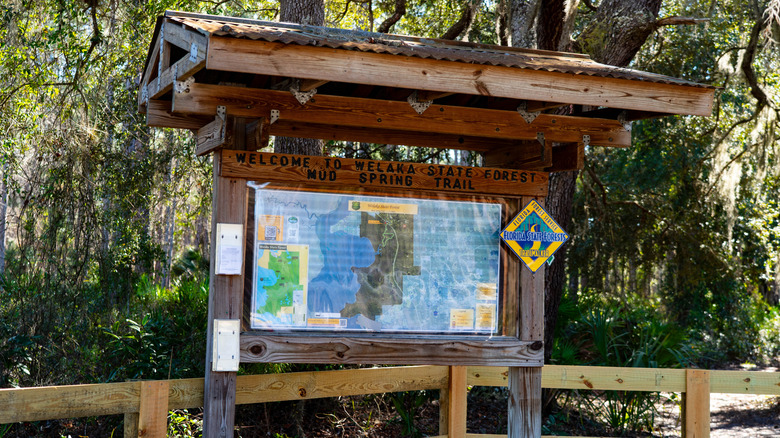 Kiosk at trailhead of Mud Spring Trail in Welaka State Forest showing yellow Florida State Trailwalker sign