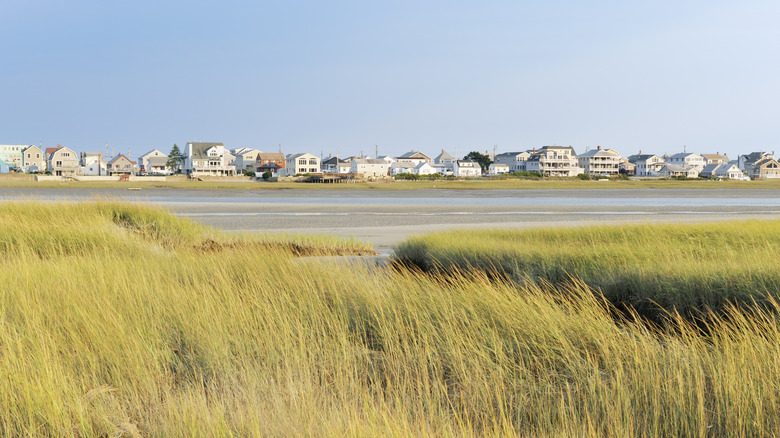 Cottages in Wells with seagrass in the foreground