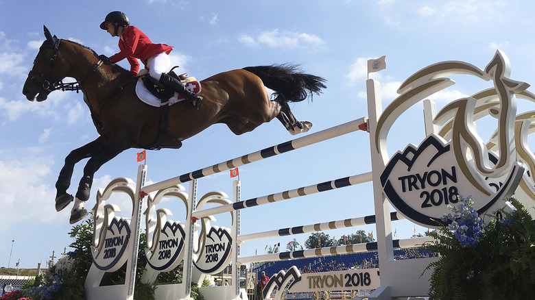 Equestrian rider jumping over a gate at the FEI Equestrian World Games in 2019 at the Tyron International Equestrian Center