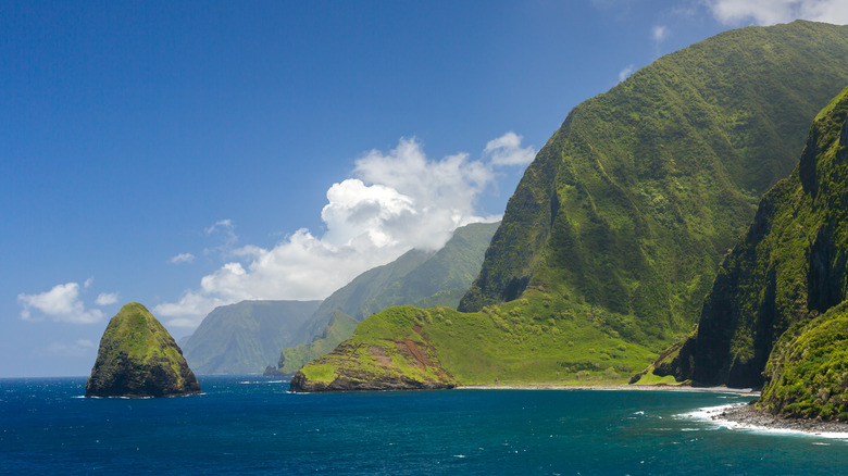 Misty morning on Molokai