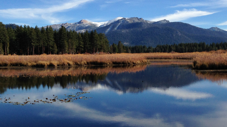 Upper Truckee Marsh at Lake Tahoe framed by mountains