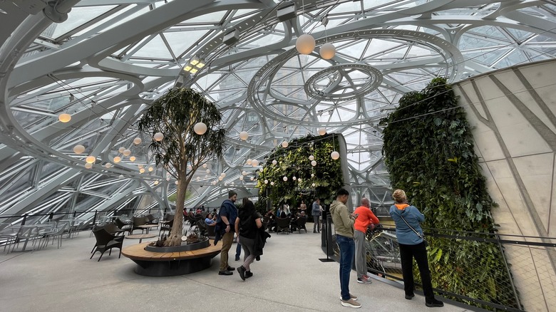 Two of the living walls inside the Seattle Spheres