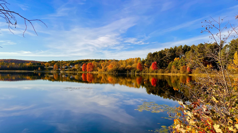 Colorful fall foliage along a calm lake at Barry's Bay Public Park in northeastern Ontario