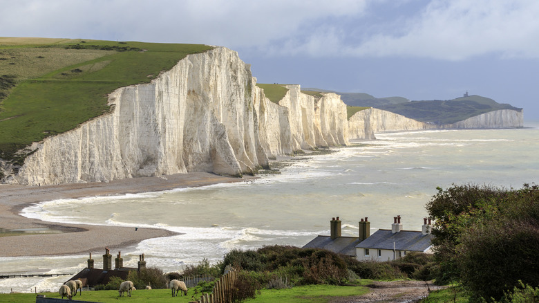 Majestic chalky white Seven Sisters cliffs in South Downs National Park