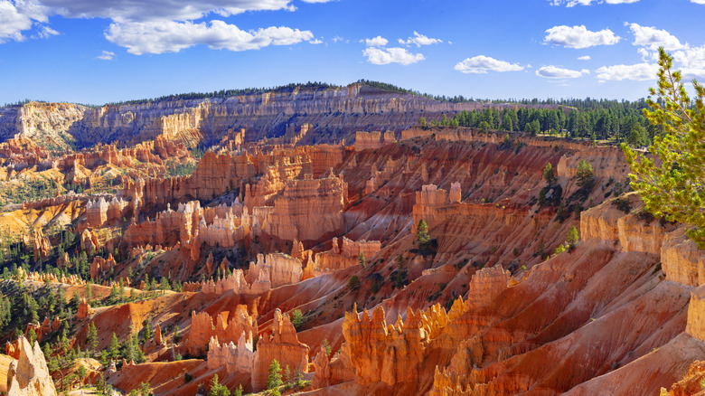 Red standstone hoodoos in Bryce Canyon National Park