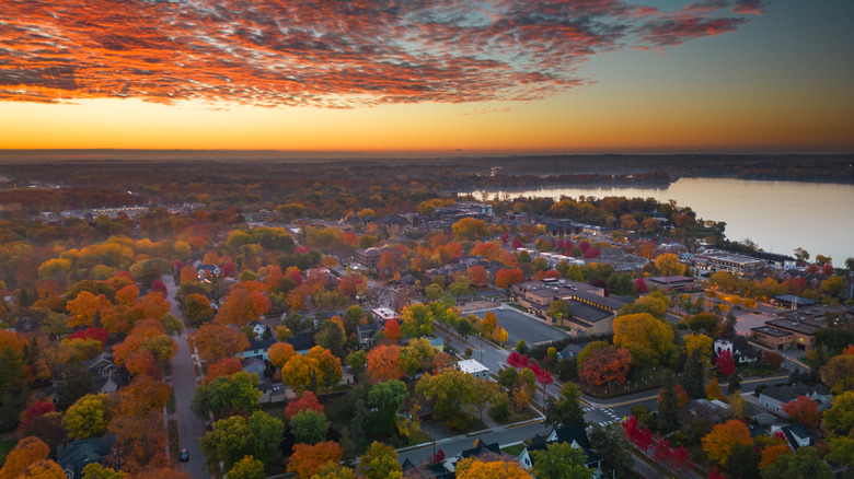 Aerial view of a lakeside neighborhood dotted with trees in fall colors at sunset