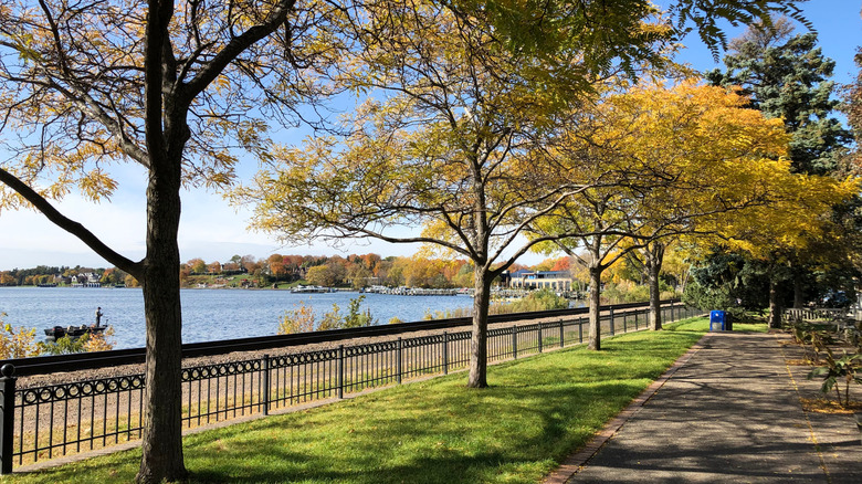 Paved trail along trees and lake