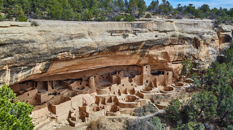 Cliff dwellings in Mesa Verde National Park