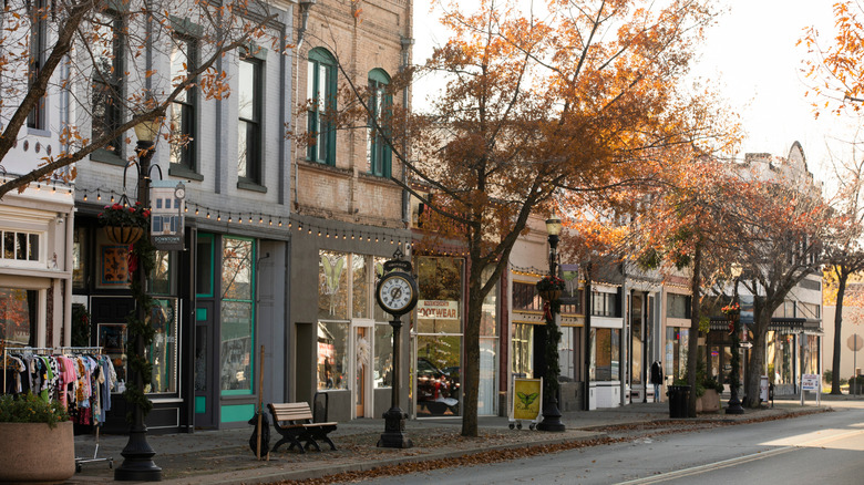 buildings on main street with tree with golden leaves