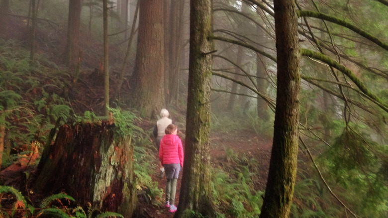 Hikers on a foggy trail in the Issaquah Alps