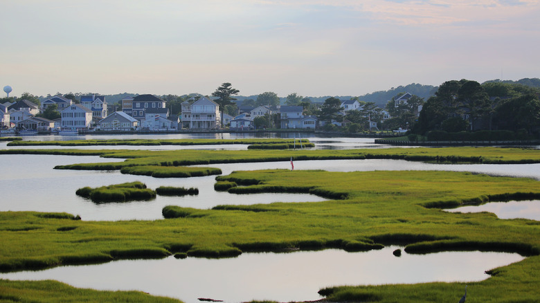 Quaint city overlooking the wetlands, Fenwick Island, near Selbyville