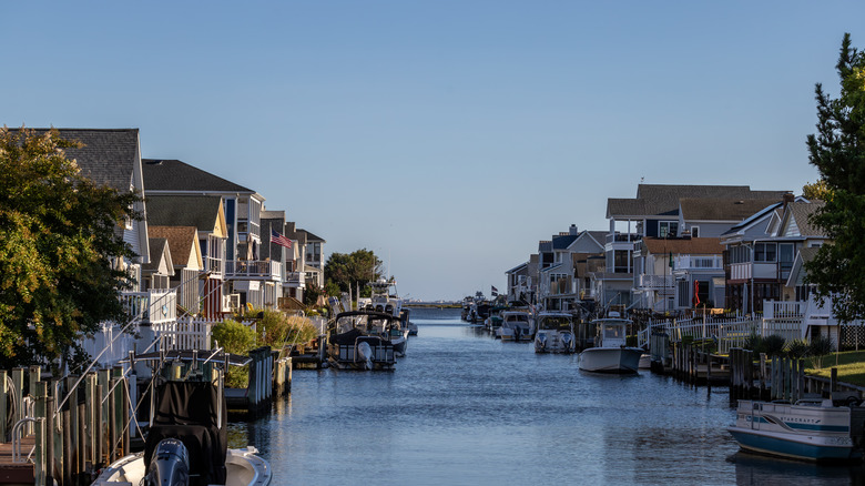 Canal flanked by houses and trees under a clear blue sky in Selbyville