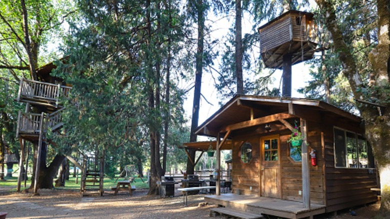 Treehouse resort in Cave Junction, OR