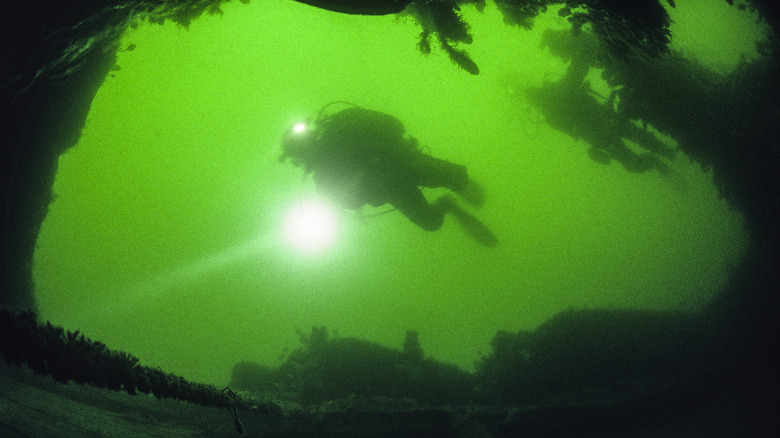 Wreck diving in the St. Lawrence River is a popular pastime