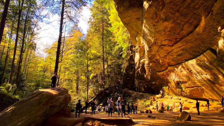 Sunlit Ash Cave in Hocking Hills State Park