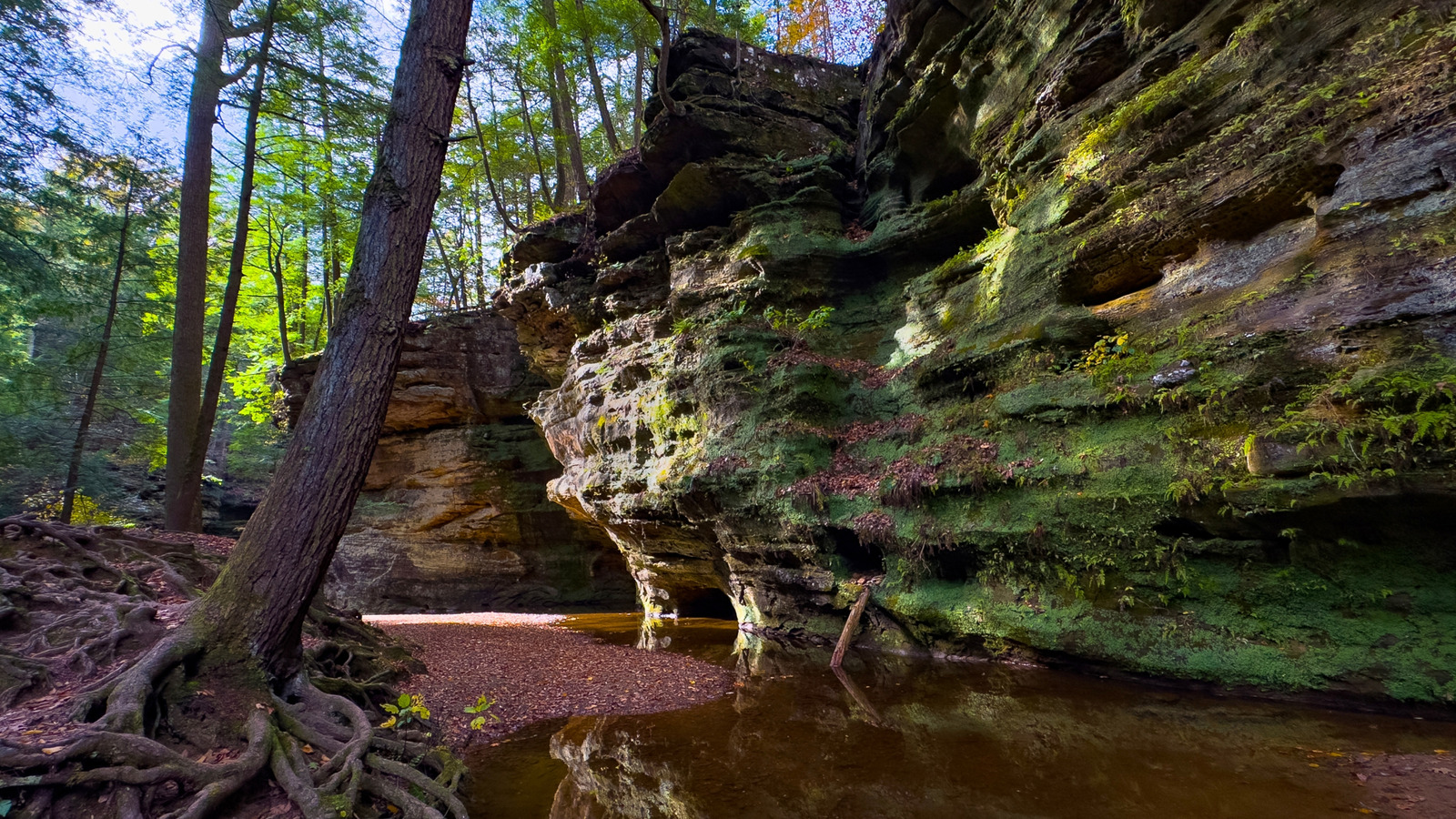The Gem Of Ohio's Iconic Hocking Hills Is A Scenic Trail Showing Off