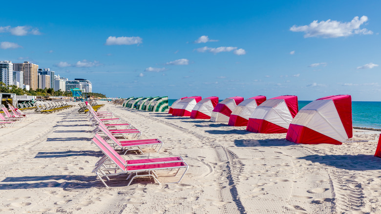 Beach chairs lined up on a beach